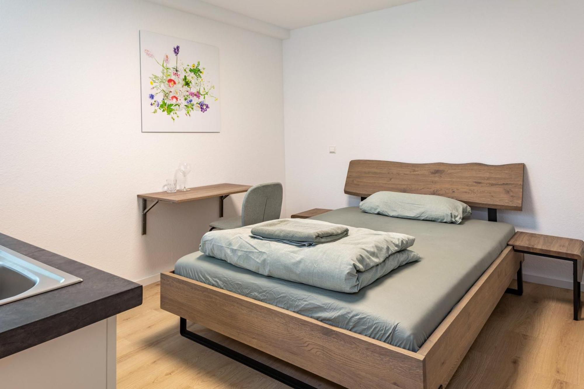 Mcello Apartments Bad Krozingen Eksteriør bilde